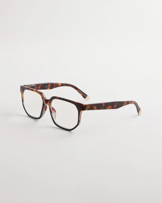 Chico's Tortoise Readers